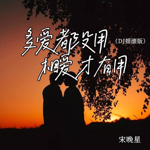 多爱都没用相爱才有用（DJ摇滚版）