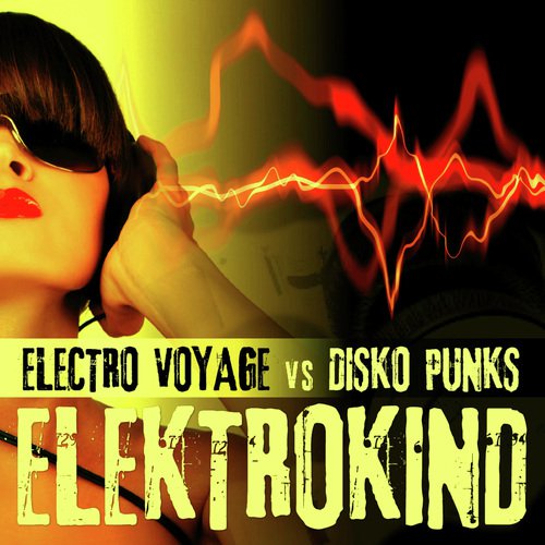Elektrokind (Disko Punks Radio Edit)