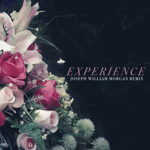 Experience (Joseph William Morgan Remix)_poster_image