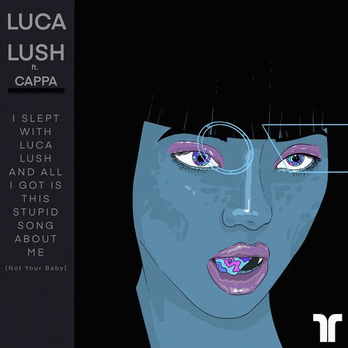 I Slept With Luca Lush And All I Got Is This Stupid Song About Me (Not Your Baby)_poster_image