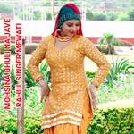 MOHSINA BHULI NA JAVE artwork