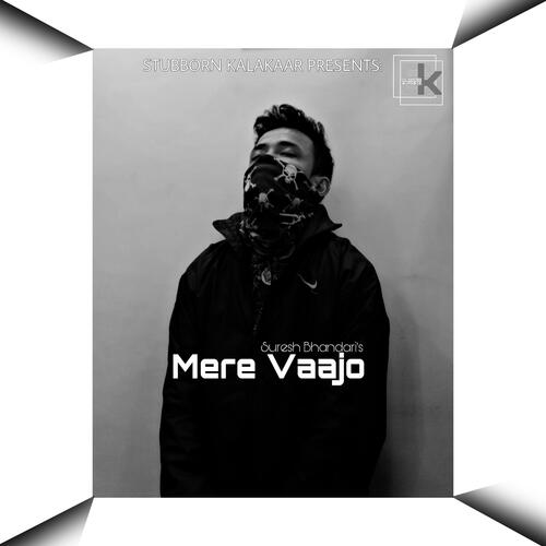 Mere Vaajo