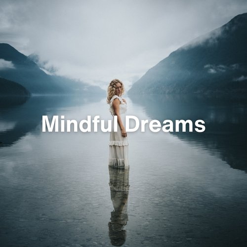 Mindful Dreams (Relaxing Ambient Music)_poster_image