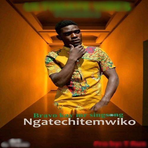 Ngatechitemwiko cover art
