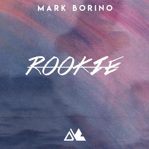  Mark Borino