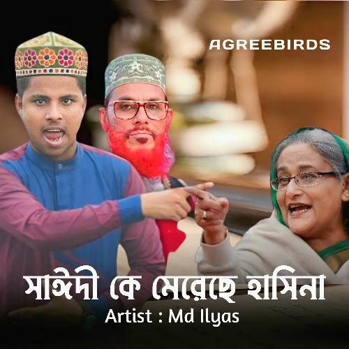 Saidi Ke Mereche Hasina