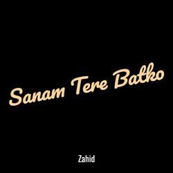 Sanam Tere Batko-Nik7fhsGcnk