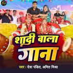 Shadi Wala Gana artwork