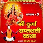 Shri Durga Saptashati Katha Adhyay-5
