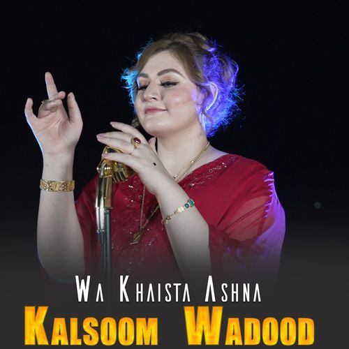 Wa Khaista Ashna cover art