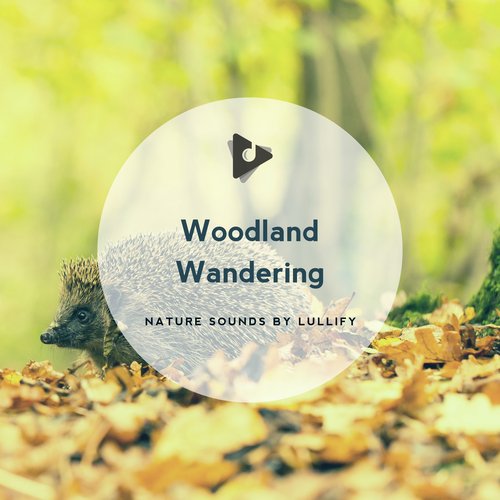 Falling for Nature cover art