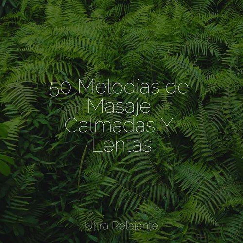 50 Melodías de Masaje Calmadas Y Lentas