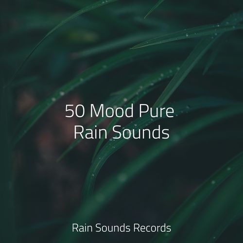 50 Mood Pure Rain Sounds