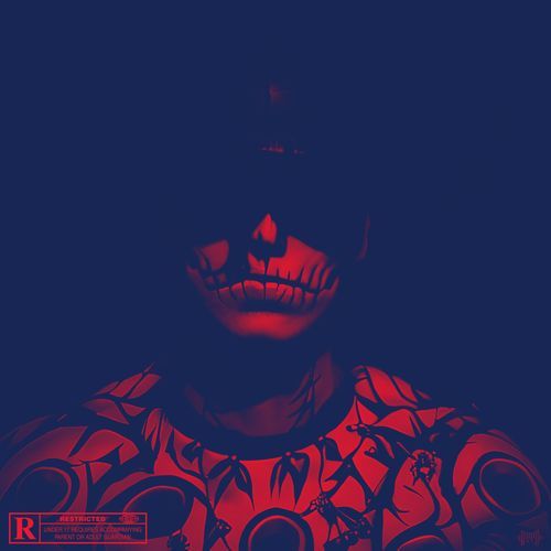 Aerial SHOT (SLOWED) cover art