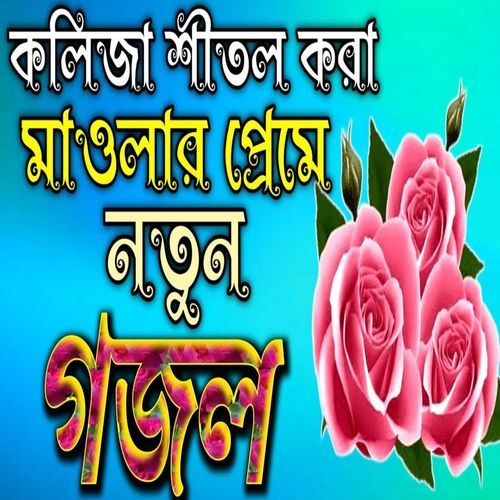 Amar Doyar maolare