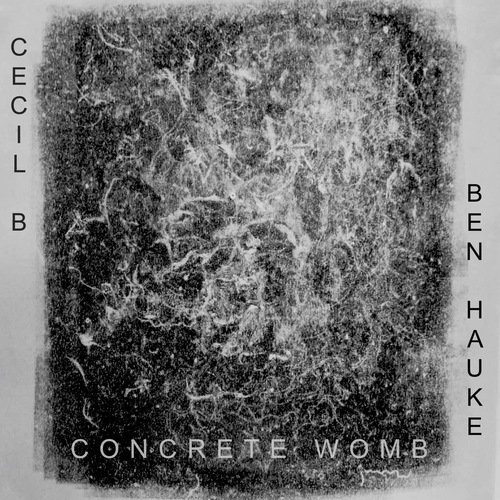 Concrete Womb_poster_image