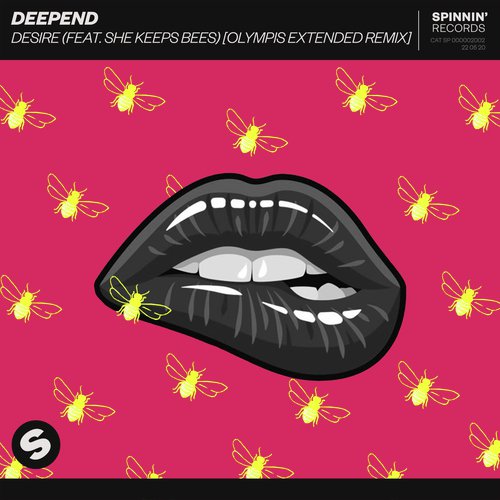 Desire (feat. She Keeps Bees) (Olympis Extended Remix)