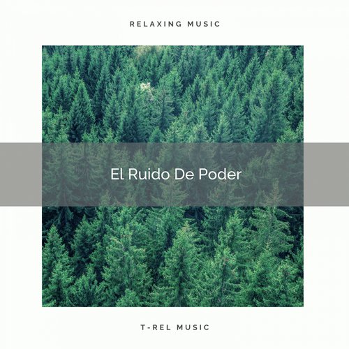 El Ruido De Colores De Poder cover art