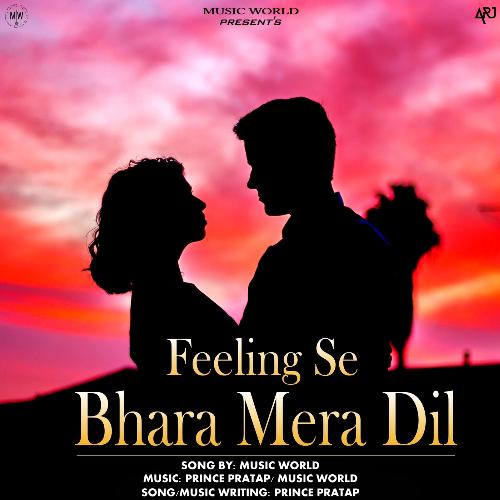 Feeling Se Bhara Mera Dil_poster_image