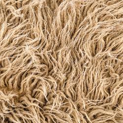 Hope Garden Hospital