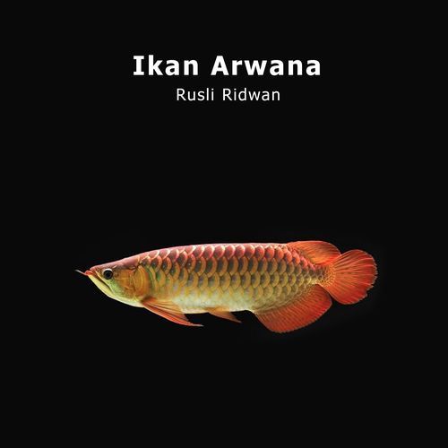 Ikan Arwana cover art