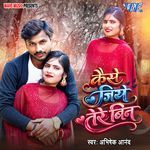 Kaise Jiye Tere Bin