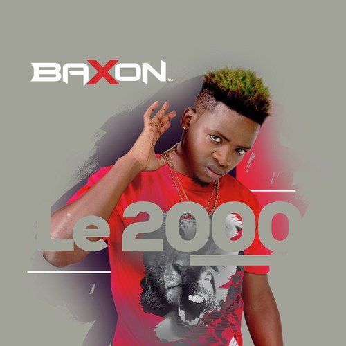 Le2000 cover art