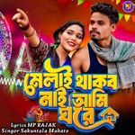 Melai Thakbo Nai Ami Ghore