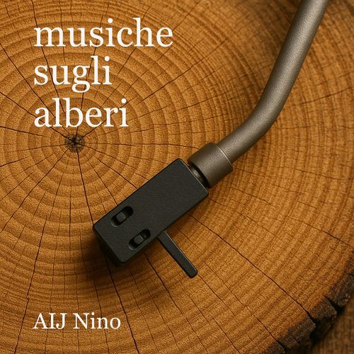 Il calicanto cover art