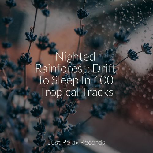 Nighted Rainforest: Drift To Sleep In 100 Tropical Tracks