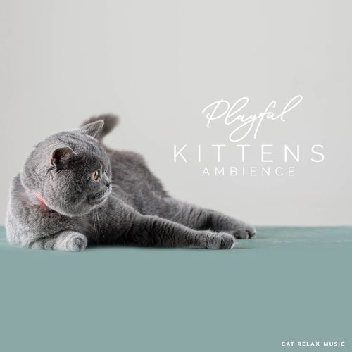 Tree Kitty cover art