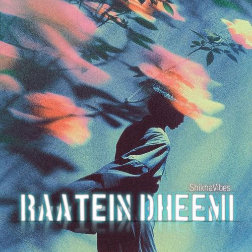 Raatein Dheemi