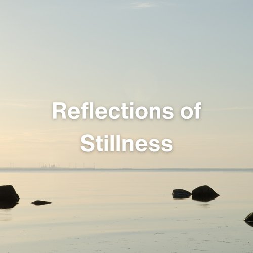 Reflections of Stillness_poster_image