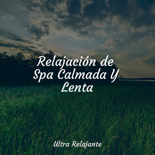 Relajación de Spa Calmada Y Lenta_poster_image