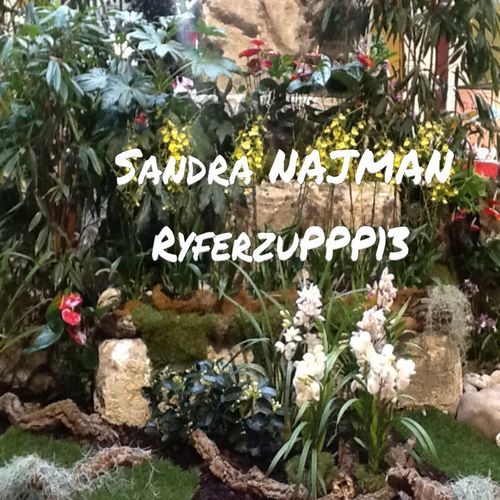 Ryferzuppp13 cover art