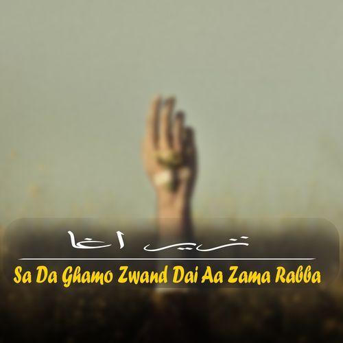 Sa Da Ghamo Zwand Dai Aa Zama Rabba