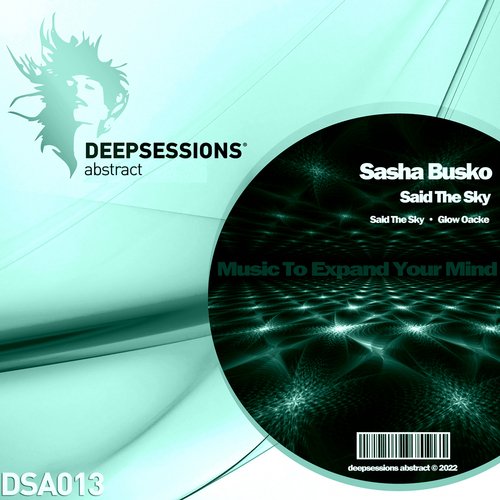 Said The Sky cover art