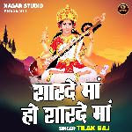 Sharde maa he sharde maa (Hindi)