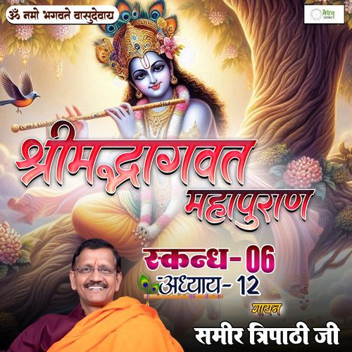 Shrimad Bhagvat Mahapuraan Skandh 06 - Part 12