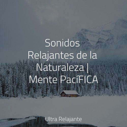 Sonidos Relajantes de la Naturaleza | Mente PacíFICA