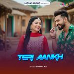 TERI AANKH