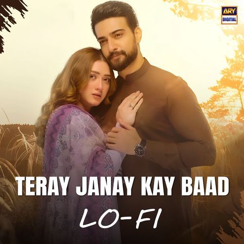 Teray Janay Kay Baad (Lo-Fi)