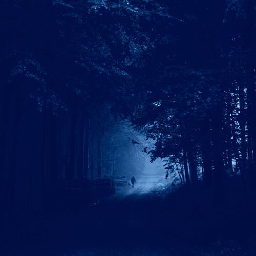 Burning Churches with Bill in Norway cover art