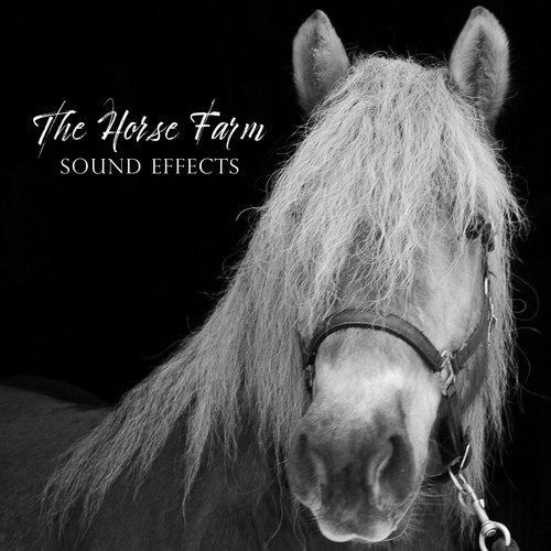 The Horse Farm Sound Effects (Relaxing, Sleepy and Calming Noises)_poster_image