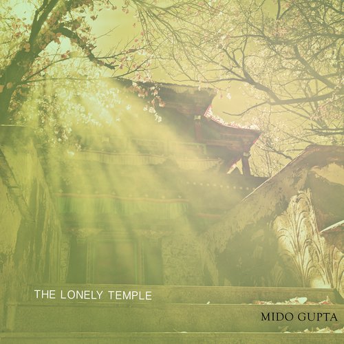 The Lonely Temple_poster_image