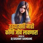 Tujhya Vani Nahi Koni Jiv Lavnara(DJ Sushant Soundane)