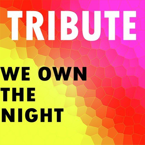 We Own The Night (Tiesto and Wolfgang Gartner Tribute)