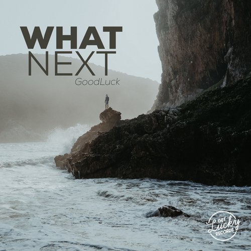 What Next_poster_image