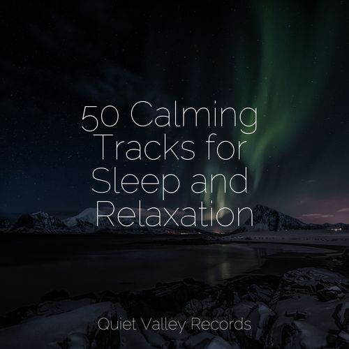 Calming New Age cover art