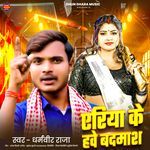 Area Ke Hawe Badmash